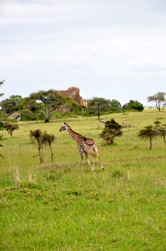 Melanie Heinrich Travel Images Africa